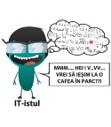 IT-istul