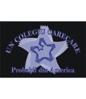 Un colegiu oarecare