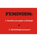Feminism